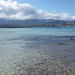 Du Golfe Pinarello Pinarellu