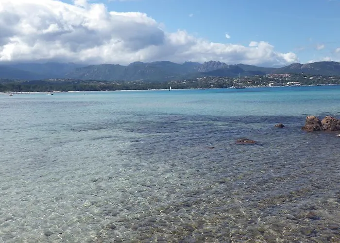 Du Golfe Pinarello Pinarellu