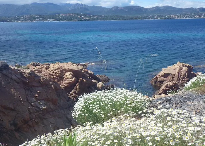 فندق Du Golfe Pinarello 3*